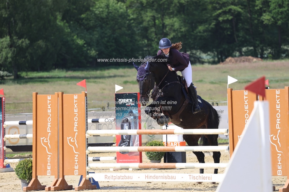 Preview marie gerdes mit hello hickstead v IMG_0520.jpg